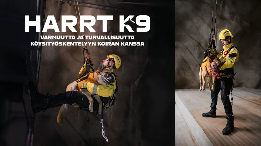 Annika Wallenius treenaa yhdessä koiran kanssa